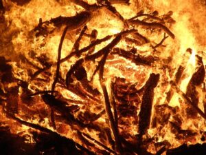 crackle映画サイトでおすすめの人気映画は？