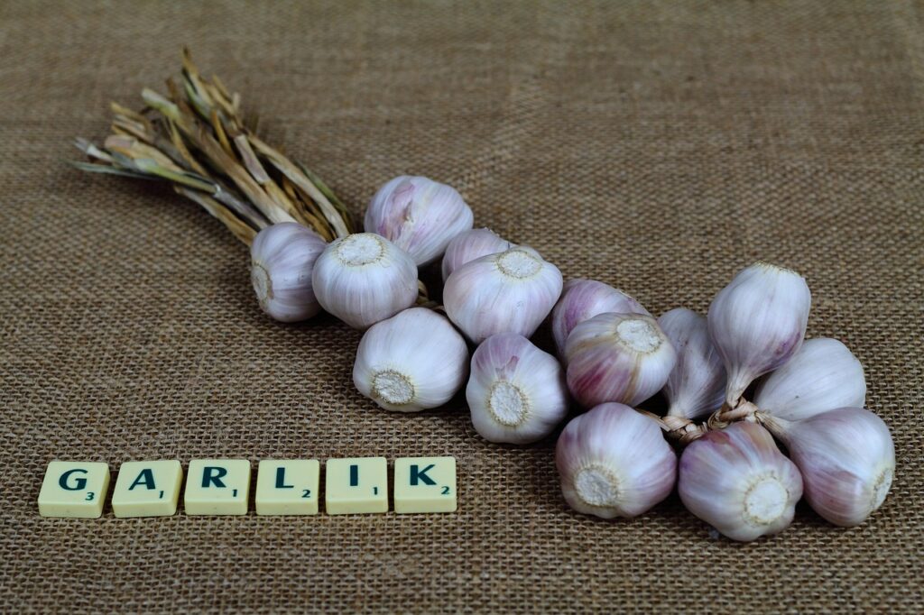 韓国ドラマを楽しむための英語字幕サービスはどれがおすすめ？