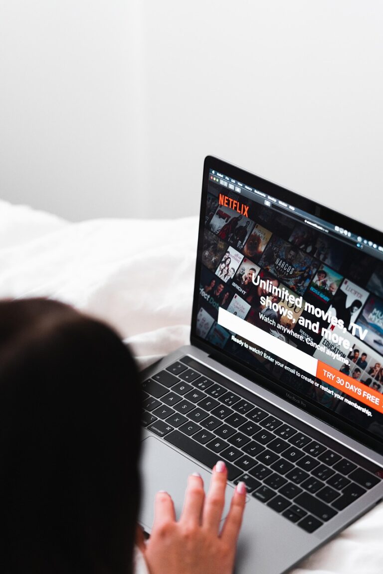 Netflix以外の韓国ドラマを楽しむためのサブスクは？