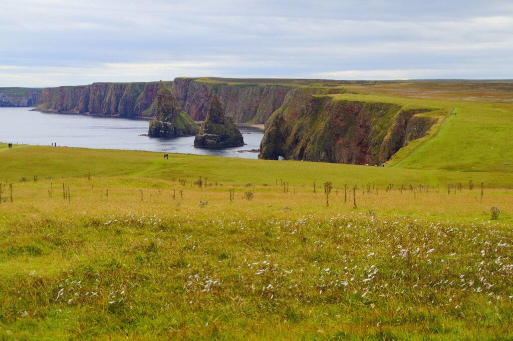 dTVとHuluの韓国ドラマ、どっちがいい？