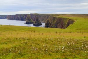 dTVとHuluの韓国ドラマ、どっちがいい？