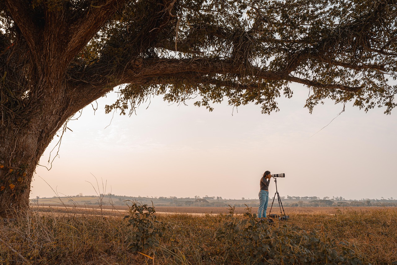 韓ドラを海外でも見る方法とおすすめ作品は？