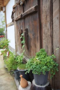 韓国ドラマを無料体験できるVODサービスはどれがおすすめ？