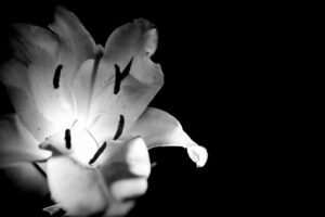 推し女優が出演する韓ドラのおすすめ作品は？