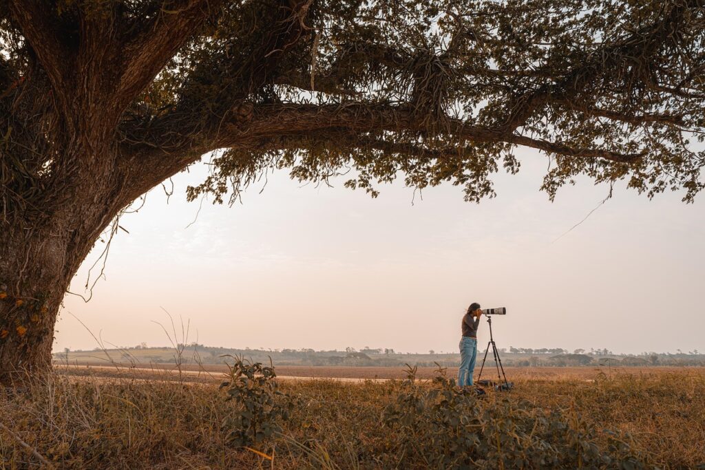 韓国ドラマを見るならどのアプリが最もおすすめですか？