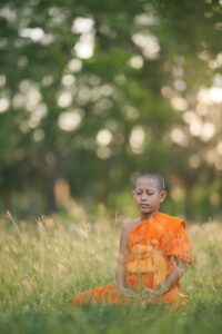 韓国ドラマ初心者におすすめの配信サービスは？