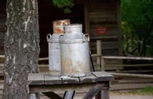 Leminoの解約方法は簡単にできるの？