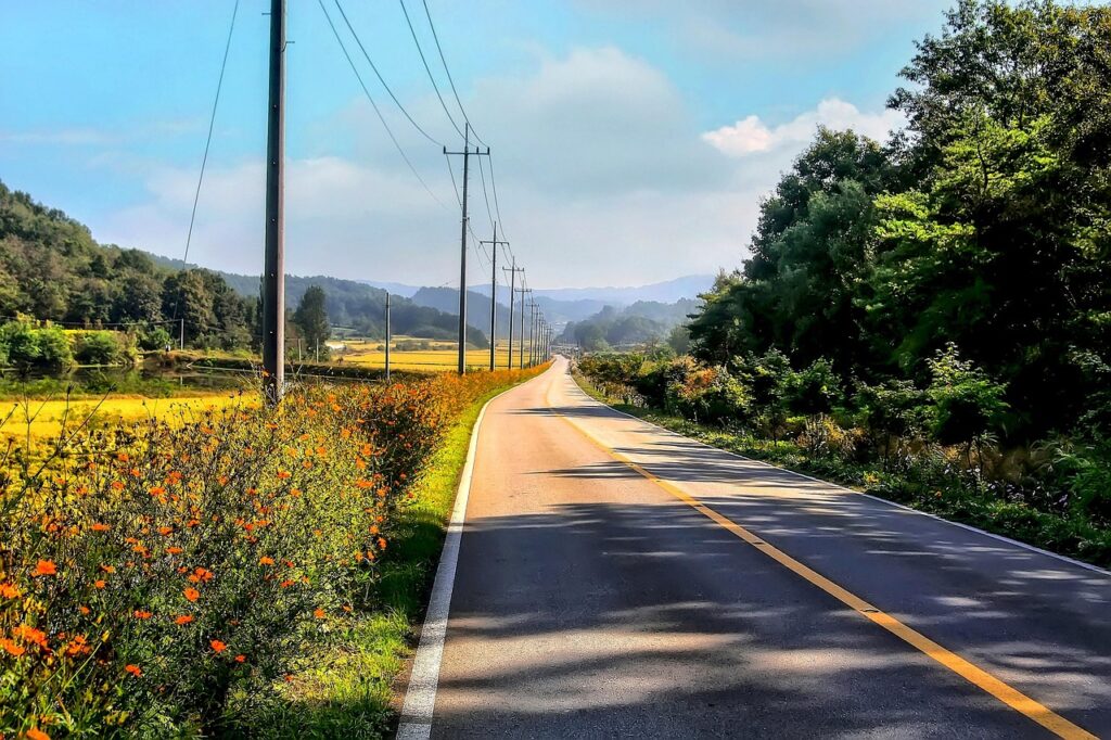 ディズニープラスで韓国ドラマを見放題にするための料金はいくら？