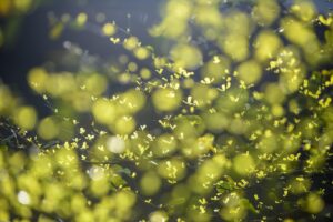 吹替のある韓ドラでおすすめの作品は？