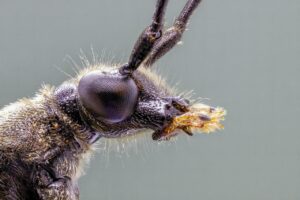 韓ドラを見放題で楽しめるサブスクはどれがおすすめ？