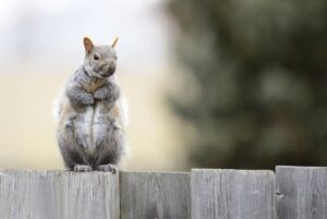 Huluの同時視聴は何台まで可能なのか？