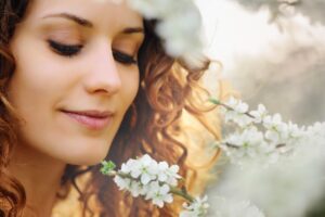 ディズニープラスでダウンロードできる作品はどれ？