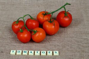 leminoの字幕は日本語でどう使うべき？
