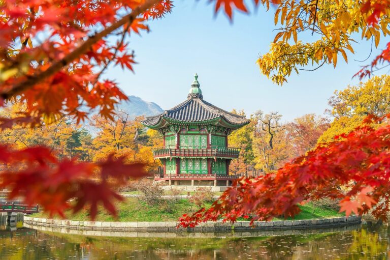 韓国ドラマを見放題にする前に知っておくべき注意点は？